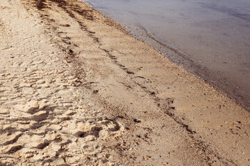 sand and sea