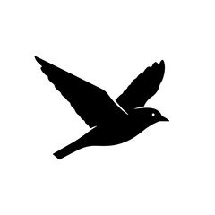 Graceful black bird silhouette in soaring flight.