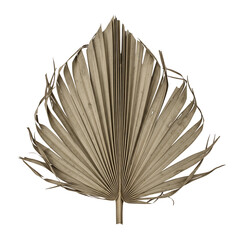 sun-dried palm leaf strips torn curled broken, natural woven texture, rustic tropical foliage, organic weaving material isolated on transparent background PNG