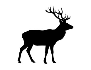 Fototapeta premium Black silhouette of a large antlered deer suitable for wildlife designs, hunting graphics, nature themed projects.
