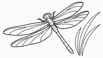 Graceful Dragonfly Line Art Illustration with Simple Grass Detail. Black and White Outline Drawing for Coloring Books, Educational Resources, and N...