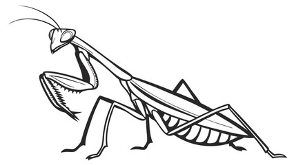 Praying Mantis Line Art Drawing. Black and White Insect Illustration. Wildlife Vector Art for Nature, Education, and Graphic Design.
