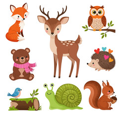 Obraz premium Cute Forest Animals and Nature Elements Set Vector illustration