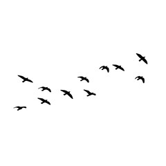 Stylized bird silhouettes soar across white space.