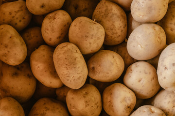 Top view of a vegetable background of freshly harvested brown organic potatoes straight from the...