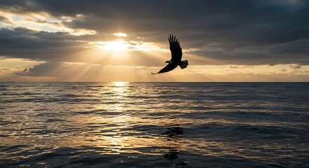 An eagle soaring gracefully over a serene ocean. 