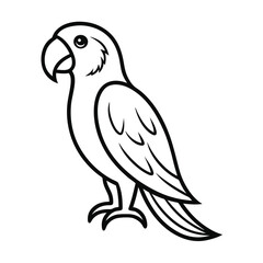 Parrot bird line art drawing style, The bird sketch black linear, And the best parrot bird vector design