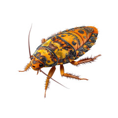 Ornate Cockroach A Detailed 3D Render of an Intricately Decorated Insect