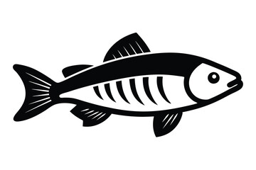 Solid color Wrasse animal vector design