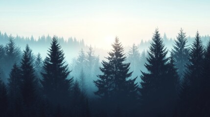 Fototapeta premium Calm evening scene with misty forest at dusk. Silhouette of trees in the sunlight and shadow against a pale blue sky.