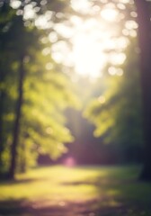 Abstract Impression of Sunlight Filtering Through a Forest Canopy Creating Soft Light