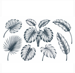 Fototapeta premium Hand drawn sketch of a large dark stormy cumulonimbus cloud with a textured appearance