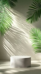 Obraz premium Light gray pedestal with tropical leaf shadows.