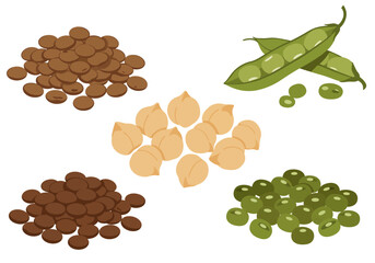 Illustration of browngreen lentils chickpeas and open green pea pods