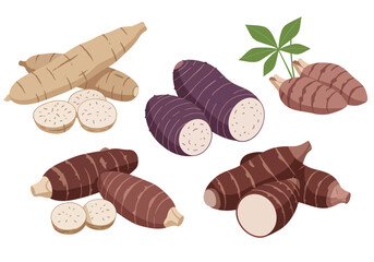 Several arrangements of cut and whole brown purple and tan cassava tubers and sliced cassava