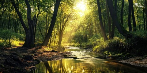 Obraz premium Sunlight Streams Through Lush Forest, Gentle Creek