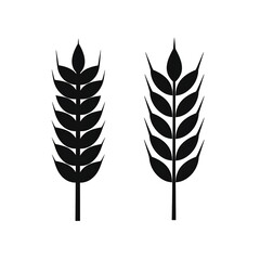 Two black wheat icons