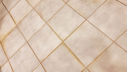 Dirty Bathroom Tile Floor with Grimy Grout Lines