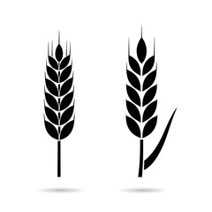Two wheat ears silhouette