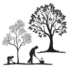 Bundle of trees at different growth stages isolated on white background