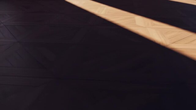 Sunlight on Dark Wooden Floor