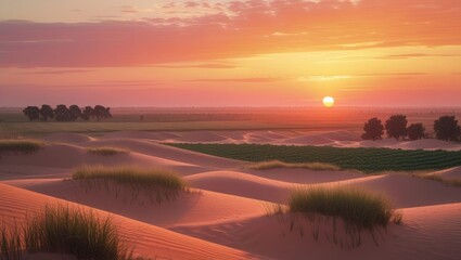 Sunset over desert dunes and fields, with agricultural land cover