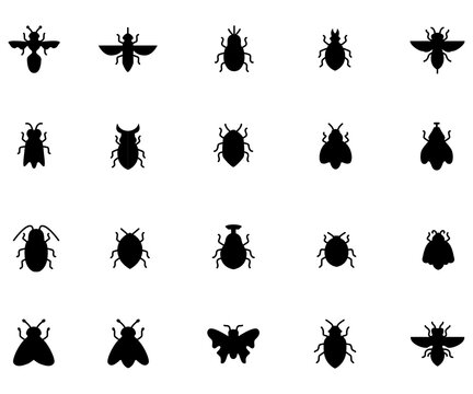 Insect silhouette diverse beetle bug species collection
