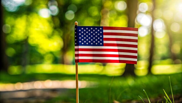 American flag on green grass with sunlight in background for patriotism and national pride concept
