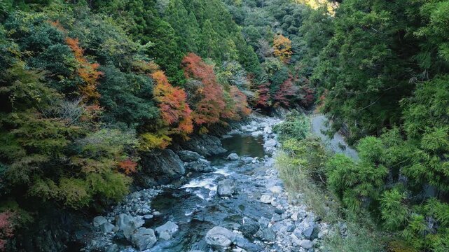 「玉川峡の紅葉」空撮　和歌山県橋本市・九度山町　Drone View of Tamagawakyo Gorge in Peak Autumn &ndash; Hashimoto & Kudoyama, Wakayama Prefecture