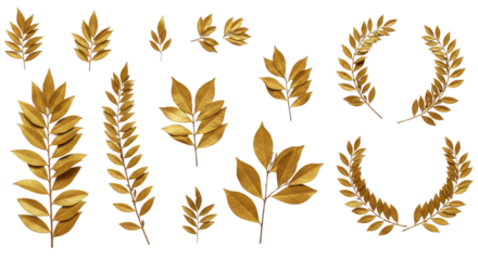 Elegant golden leaf and laurel wreath botanical illustration set isolated PNG with Transparent Background