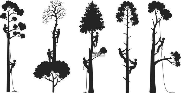 Tree climbing vector, arborist silhouette illustration, climbing gear design, pruning action pose, tree care techniques, safety harness, forest maintenance art