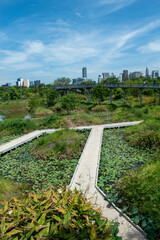 Benjakitti Park , Bangkok