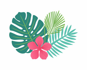 vector illustration of a green leaf