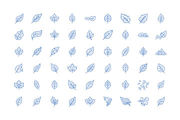Collection of leaves in outline style on white background