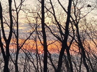 New Year&rsquo;s First Sunrise Over Winter Trees and Vibrant Morning Sky