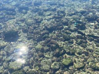 Crystal Clear Jeju Ocean with Rocky Coast, Blue Horizon, and Peaceful Waves