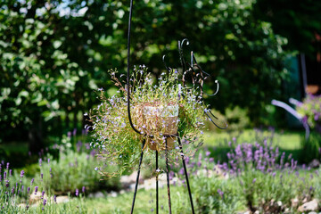 Unique garden planter displays vibrant flowers in a sunny outdoor setting in summer © Garik