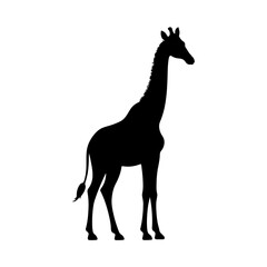 giraffe silhouette isolated on transparent background 