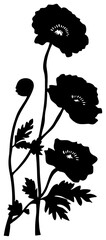 Minimalist Black and White Poppy Flower Corner Border