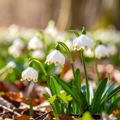Spring wildflowers in sunlight