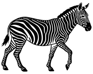 Black and white illustration of a walking zebra with distinctive stripes
