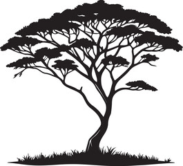 Acacia Tree Silhouette – African Savannah Tree Isolated on White Background