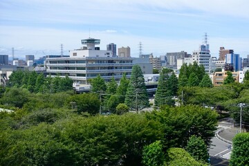 市庁舎の眺望！view from the top of a building