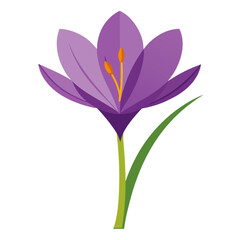 Fototapeta premium vector illustration of a flower