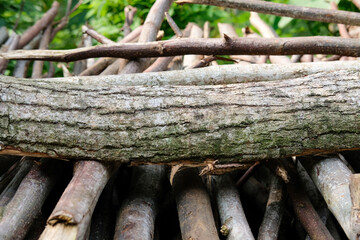 Stacked branches and logs in forest