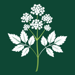 vector illustration of flowers