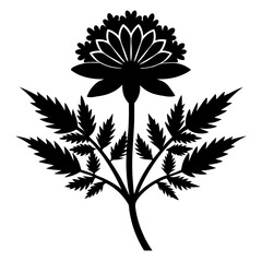 black and white flower