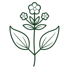 set of black and white flowers