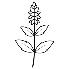 vector illustration of a flower