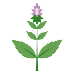 vector illustration of a flower